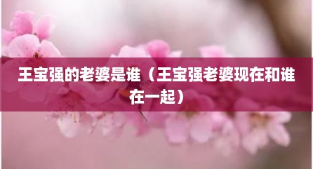 王宝强的老婆是谁（王宝强老婆现在和谁在一起）