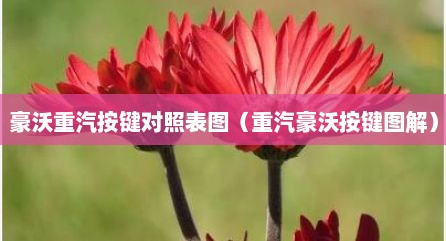 豪沃重汽按键对照表图（重汽豪沃按键图解）