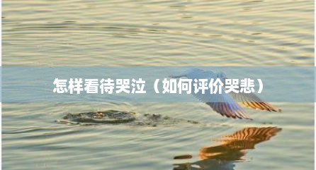 怎样看待哭泣（如何评价哭悲）