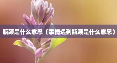 瓶颈是什么意思（事情遇到瓶颈是什么意思）