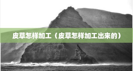 皮草怎样加工（皮草怎样加工出来的）