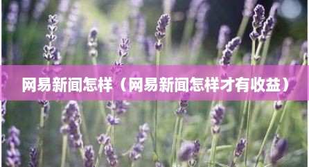 网易新闻怎样（网易新闻怎样才有收益）