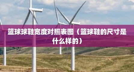 篮球球鞋宽度对照表图（篮球鞋的尺寸是什么样的）