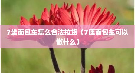 7坐面包车怎么合法拉货（7座面包车可以做什么）