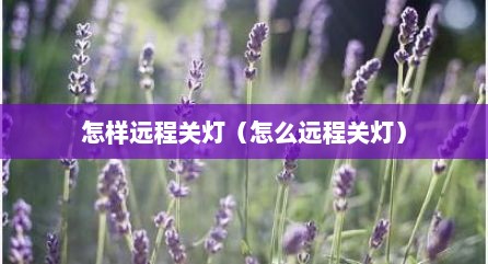 怎样远程关灯（怎么远程关灯）