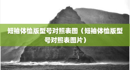 短袖体恤版型号对照表图（短袖体恤版型号对照表图片）