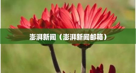 澎湃新闻（澎湃新闻邮箱）