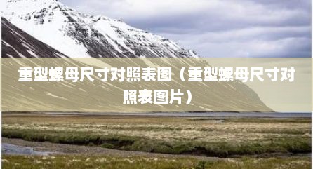 重型螺母尺寸对照表图（重型螺母尺寸对照表图片）