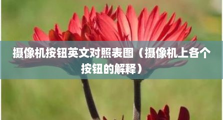 摄像机按钮英文对照表图（摄像机上各个按钮的解释）