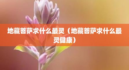 地藏菩萨求什么最灵（地藏菩萨求什么最灵健康）