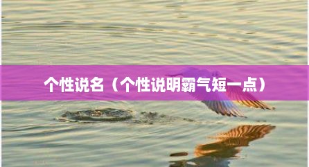 个性说名（个性说明霸气短一点）