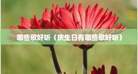哪些歌好听（庆生日有哪些歌好听）