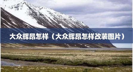 大众辉昂怎样（大众辉昂怎样改装图片）