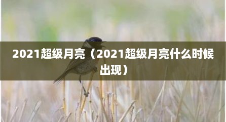 2021超级月亮（2021超级月亮什么时候出现）