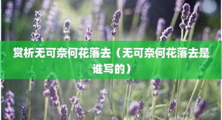 赏析无可奈何花落去（无可奈何花落去是谁写的）