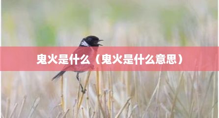 鬼火是什么（鬼火是什么意思）