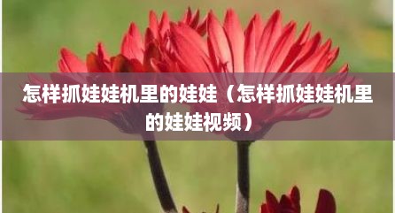 怎样抓娃娃机里的娃娃（怎样抓娃娃机里的娃娃视频）