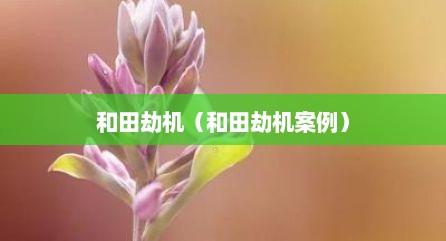 和田劫机（和田劫机案例）
