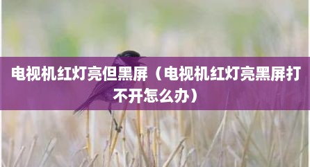 电视机红灯亮但黑屏（电视机红灯亮黑屏打不开怎么办）