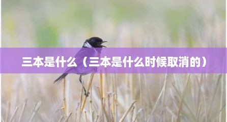 三本是什么（三本是什么时候取消的）