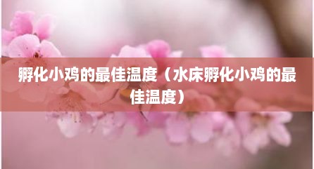 孵化小鸡的最佳温度（水床孵化小鸡的最佳温度）