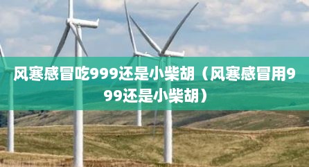风寒感冒吃999还是小柴胡（风寒感冒用999还是小柴胡）
