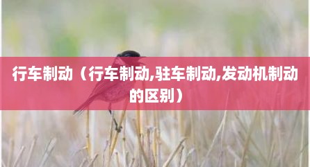 行车制动（行车制动,驻车制动,发动机制动的区别）