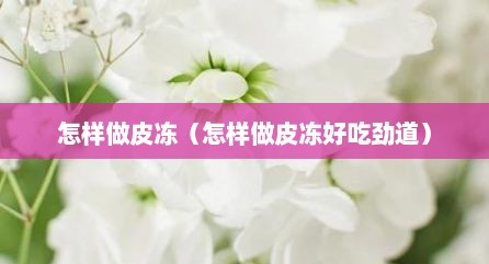 怎样做皮冻（怎样做皮冻好吃劲道）
