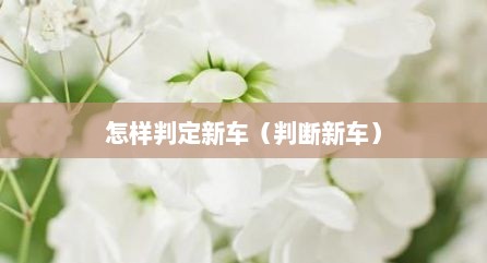怎样判定新车（判断新车）