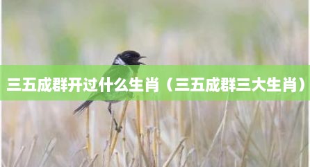 三五成群开过什么生肖（三五成群三大生肖）