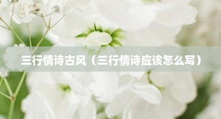 三行情诗古风（三行情诗应该怎么写）