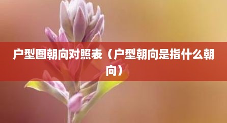 户型图朝向对照表（户型朝向是指什么朝向）