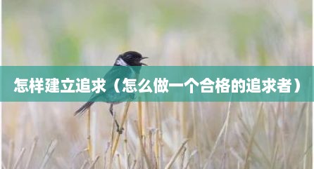 怎样建立追求（怎么做一个合格的追求者）