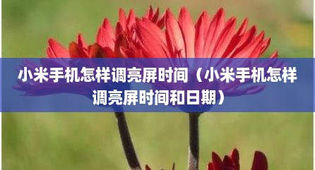 小米手机怎样调亮屏时间（小米手机怎样调亮屏时间和日期）