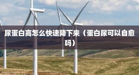 尿蛋白高怎么快速降下来（蛋白尿可以自愈吗）