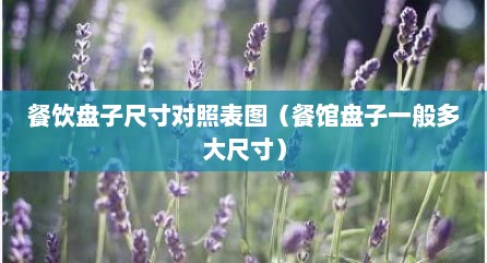 餐饮盘子尺寸对照表图（餐馆盘子一般多大尺寸）