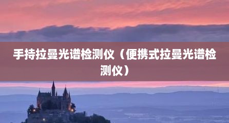 手持拉曼光谱检测仪（便携式拉曼光谱检测仪）