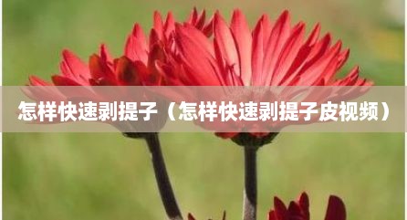 怎样快速剥提子（怎样快速剥提子皮视频）