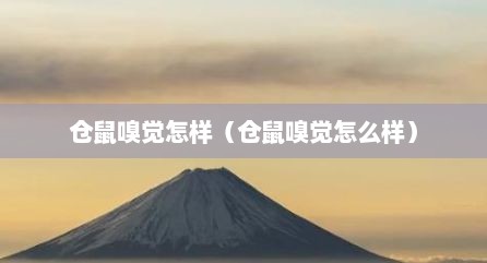 仓鼠嗅觉怎样（仓鼠嗅觉怎么样）