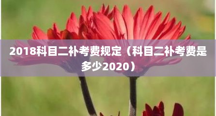 2018科目二补考费规定（科目二补考费是多少2020）
