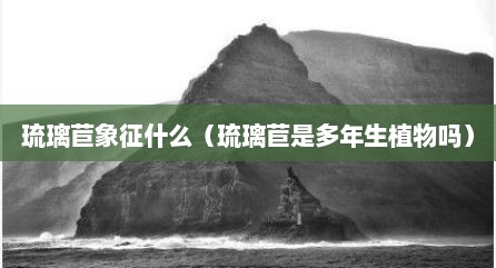 琉璃苣象征什么（琉璃苣是多年生植物吗）