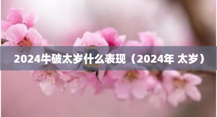 2024牛破太岁什么表现（2024年 太岁）