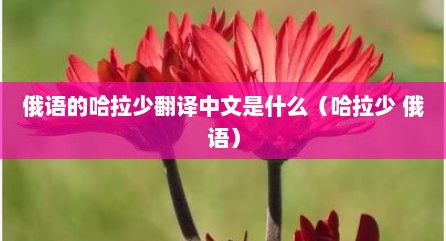俄语的哈拉少翻译中文是什么（哈拉少 俄语）