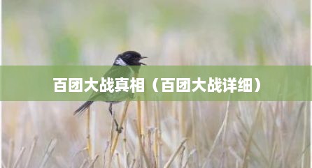 百团大战真相（百团大战详细）
