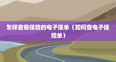怎样查看保险的电子保单（如何查电子保险单）