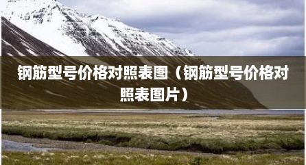 钢筋型号价格对照表图（钢筋型号价格对照表图片）
