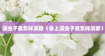 满虫子是怎样消除（身上满虫子是怎样消除）