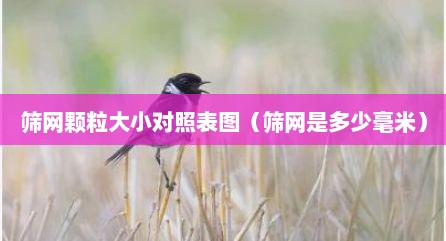 筛网颗粒大小对照表图（筛网是多少毫米）