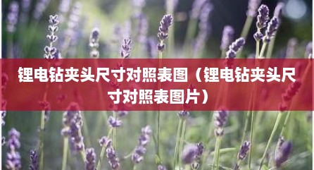 锂电钻夹头尺寸对照表图（锂电钻夹头尺寸对照表图片）