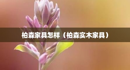 柏森家具怎样（柏森实木家具）